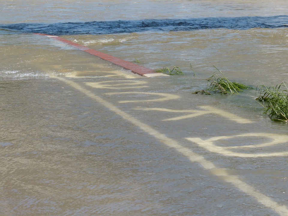 Away Cycle Path High Water Flooded Danube Road-12 Inch by 18 Inch Laminated Poster with Bright Colors and Vivid Imagery-Fits Perfectly in Many Attract