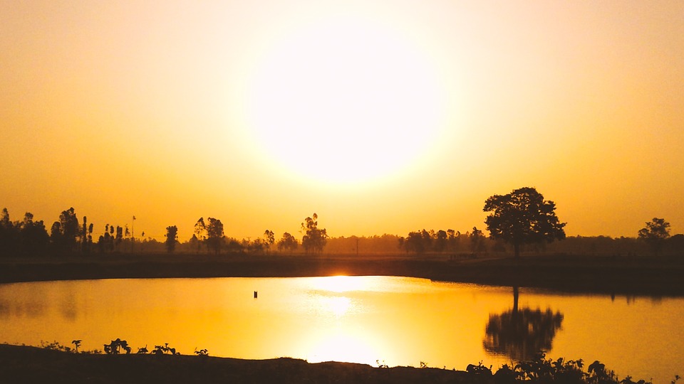 Sunset Golden Hour Summer Sun Nature Hour Golden-20 Inch by 30 Inch Laminated Poster with Bright Colors and Vivid Imagery-Fits Perfectly in Many Attra