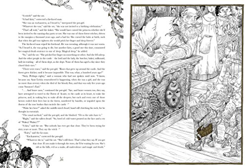 The Sleeper and the Spindle WI Gaiman, Neil [Used - Good] [Hardcover] thumbnail