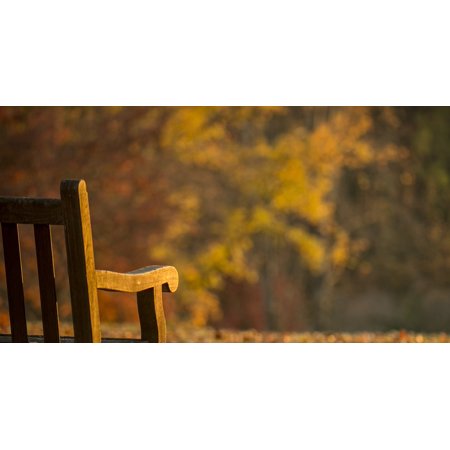 Autumn Park Bench Seat Virginia Fall Golden Hour-20 Inch by 30 Inch Laminated Poster with Bright Colors and Vivid Imagery-Fits Perfectly in Many Attra