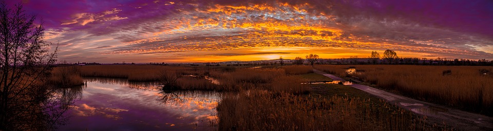 Peel-n-Stick Poster of Grass Path Water Reflection Clouds Lake Sunset Poster 24x16 Adhesive Sticker Poster Print