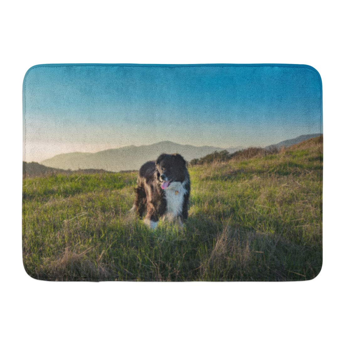 GODPOK Blue Black and White Border Collie Mix Dog Standing in Field with Mountains the During Golden Hour Green Rug Doormat Bath Mat 23.6x15.7 Inch