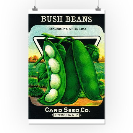 Bush Beans Seed Packet (16x24 Giclee Gallery Print, Wall Decor Travel Poster)