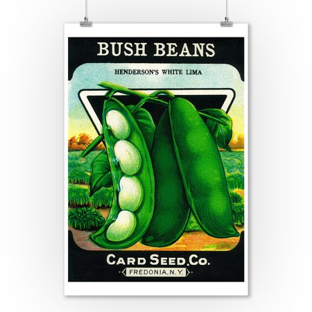 Bush Beans Seed Packet (9x12 Art Print, Wall Decor Travel Poster)