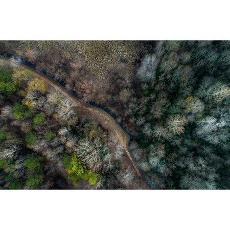 Peel-n-Stick Poster of Forest Plant Road River Trees Path Nature Water Poster 24x16 Adhesive Decal