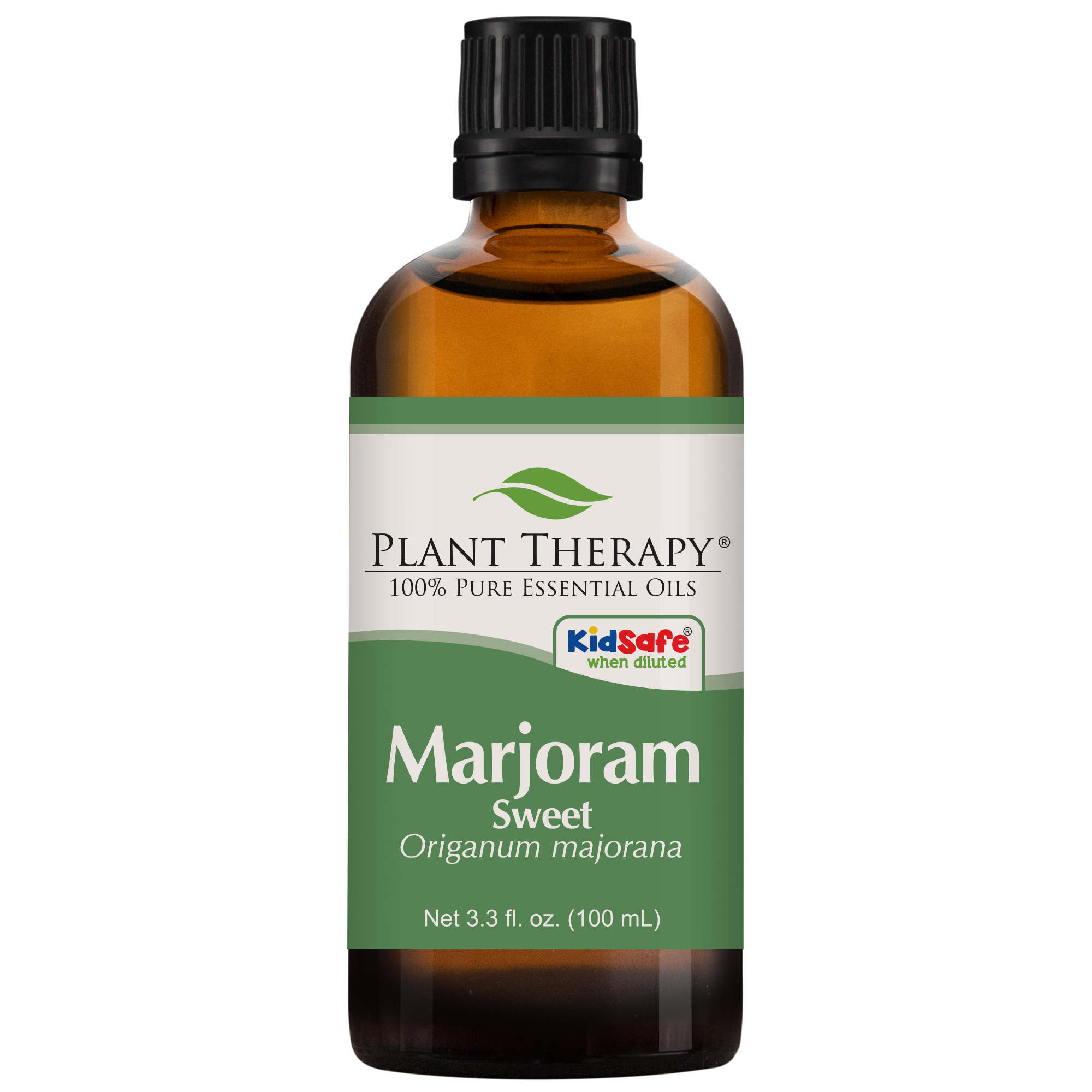 Plant Therapy Marjoram Sweet Essential Oil  100% Pure, Undiluted, Natural Aromatherapy, Therapeutic Grade  100 ML
