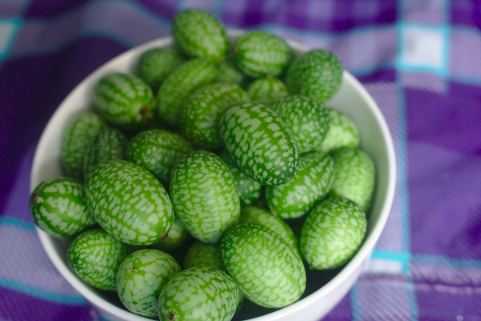 Peel-n-Stick Poster of Tiny Gherkin Small Mexican Sour Gherkin Poster 24x16 Adhesive Decal