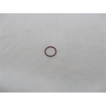 Takagi EZN21 O-ring JASO #1021 EPDM