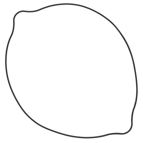 Clutch Cover Gasket Compatible with Suzuki RM250 250cc 96 97 98 99 00 01 02 03 04 05 06 07 08