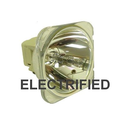 Electrified 280/1.0 E20.6 69791 E-series / Electrified-series Bulb #62