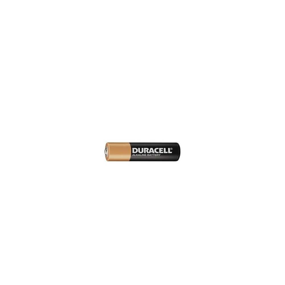CopperTop Alkaline Batteries with Duralock Power Preserve Technology  AAA  24/Bx