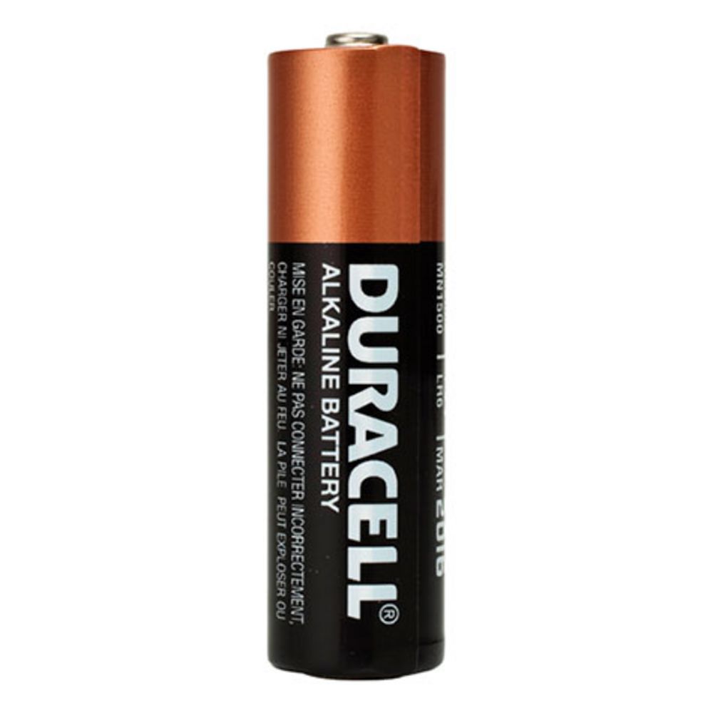 Coppertop Alkaline Batteries AA