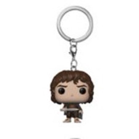 Mystery Vinyl Pocket Pop! Keychains - Lord of the Rings - Frodo Baggins