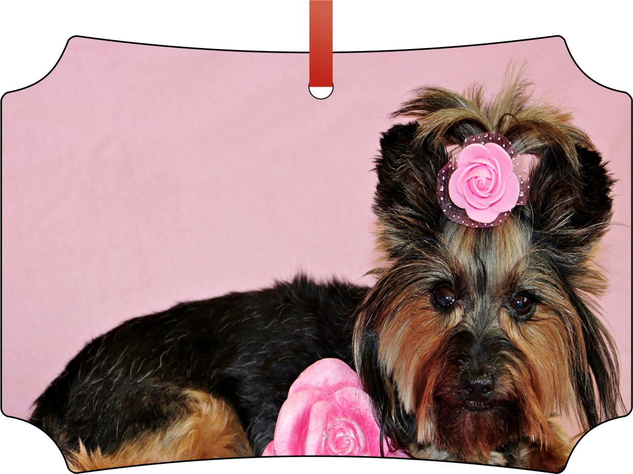 Ornaments Yorkie Yorkshire Terrier with Pink Roses Elegant Glossy Double Sided Aluminum Christmas Ornament Tree Decoration - Unique Modern Novelty Tre