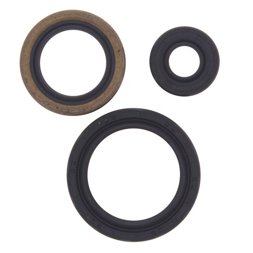 Engine Oil Seal Kit Compatible with Polaris Scrambler 500 2x4 500cc 00 01 02 03 04 05 06 07 08