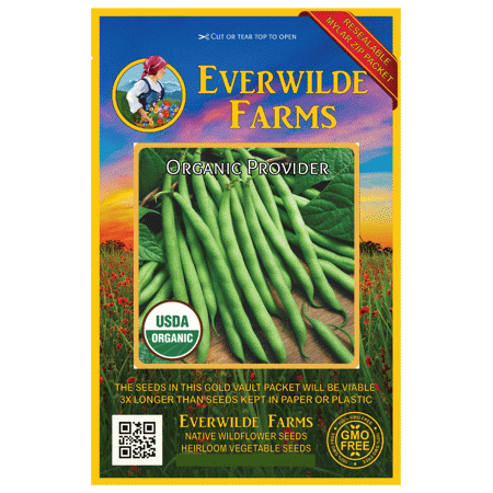 Everwilde Farms - 50 Organic Provider Green Bush Bean Seeds - Gold Vault Jumbo Bulk Seed Packet