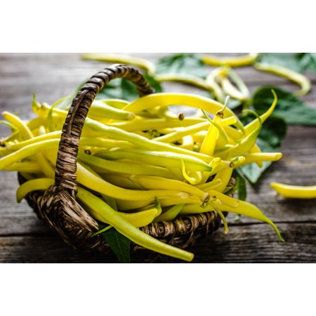 Top Notch Golden Bush Bean- 75 Seeds -High Yields -Tasty Gourmet Flavor -Vegetable Gardening --Disease Resistant -Straight Stringless