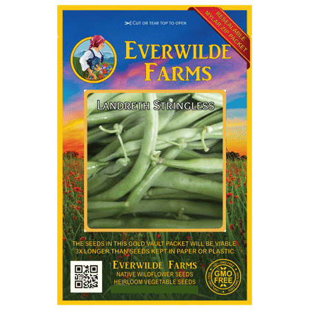 Everwilde Farms - 120 Landreth Stringless Green Bush Bean Seeds - Gold Vault Jumbo Bulk Seed Packet