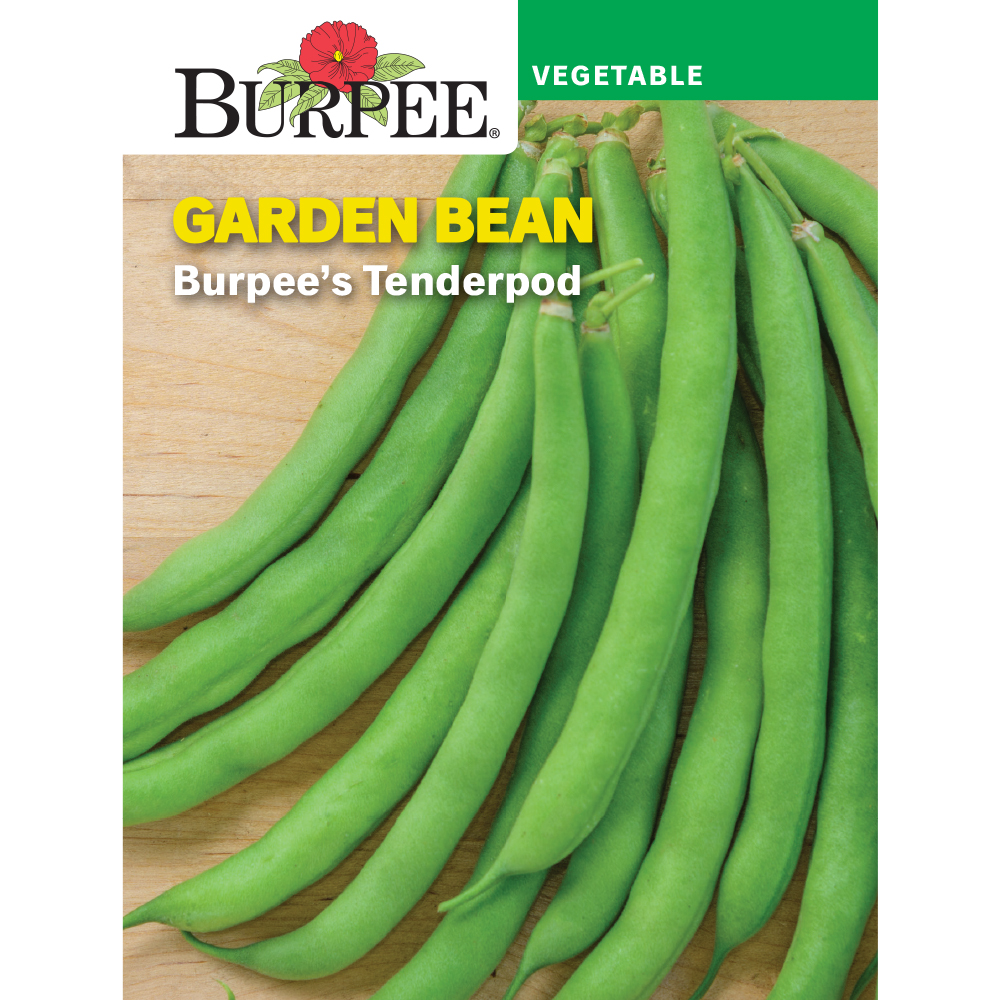 Bean, Bush Snap, Burpee's