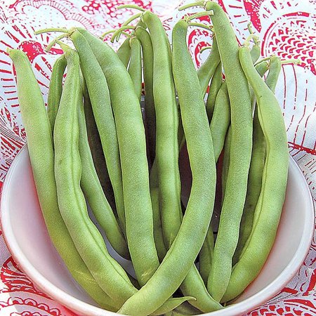 Seed Savers Exchange 0205 Open-pollinated Bean, Kentucky Wonder Bush, 50 Seed Packet