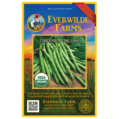 Everwilde Farms - 1 Oz Organic Blue Lake Green Bush Bean Seeds - Gold Vault Bulk Seed Packet
