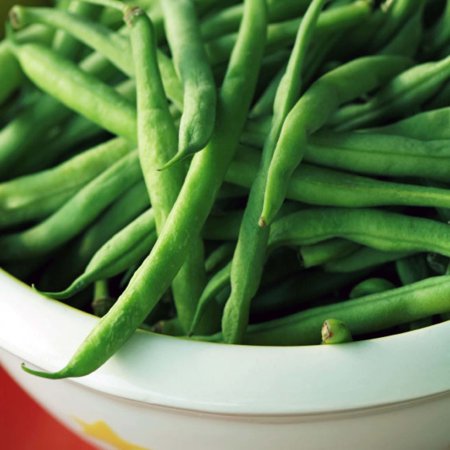 Bonnie Plants Blue Lake Bush Beans 19.3 Oz.