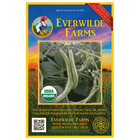 Everwilde Farms - 1 Oz Organic Contender Green Bush Bean Seeds - Gold Vault Bulk Seed Packet