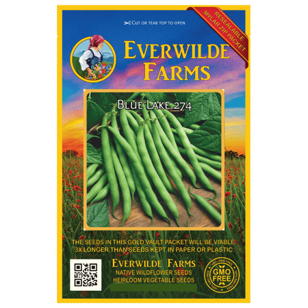 Everwilde Farms - 100 Blue Lake 274 Green Bush Bean Seeds - Gold Vault Jumbo Bulk Seed Packet