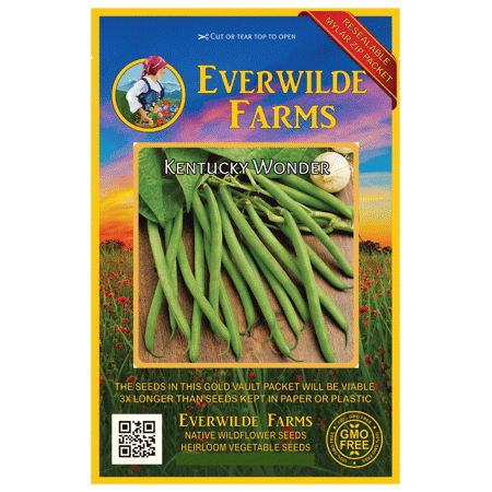 Everwilde Farms - 50 Kentucky Wonder Green Bush Bean Seeds - Gold Vault Jumbo Bulk Seed Packet