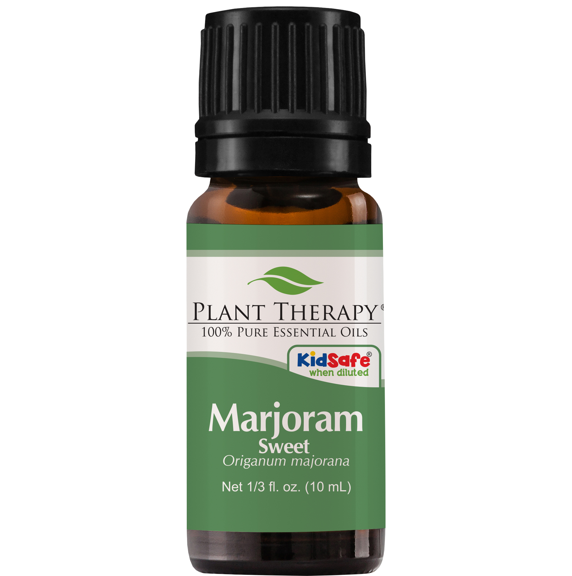 Plant Therapy Sweet Marjoram Essential Oil 100% Pure  Undiluted  Natural Aromatherapy  Therapeutic Grade 10 ML (1/3 Oz)