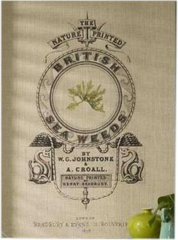 Print Artwork TAPESTRIES LTD British Seaweed 32x42 Cotton Linen Fabric N TL-2564