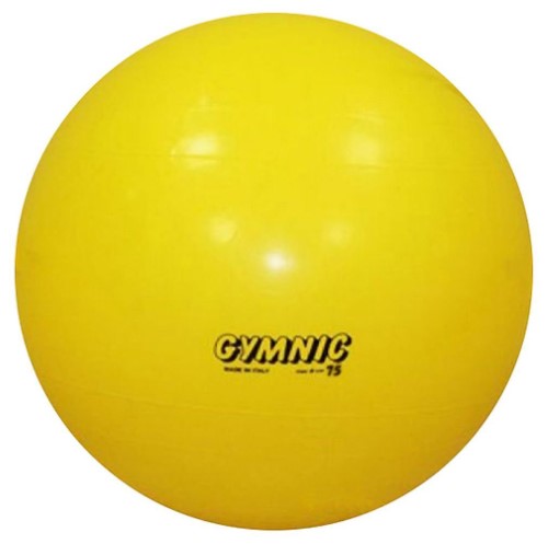 Physiotherapy 18 in. Dia. Gymnic Classic Ball in Yellow