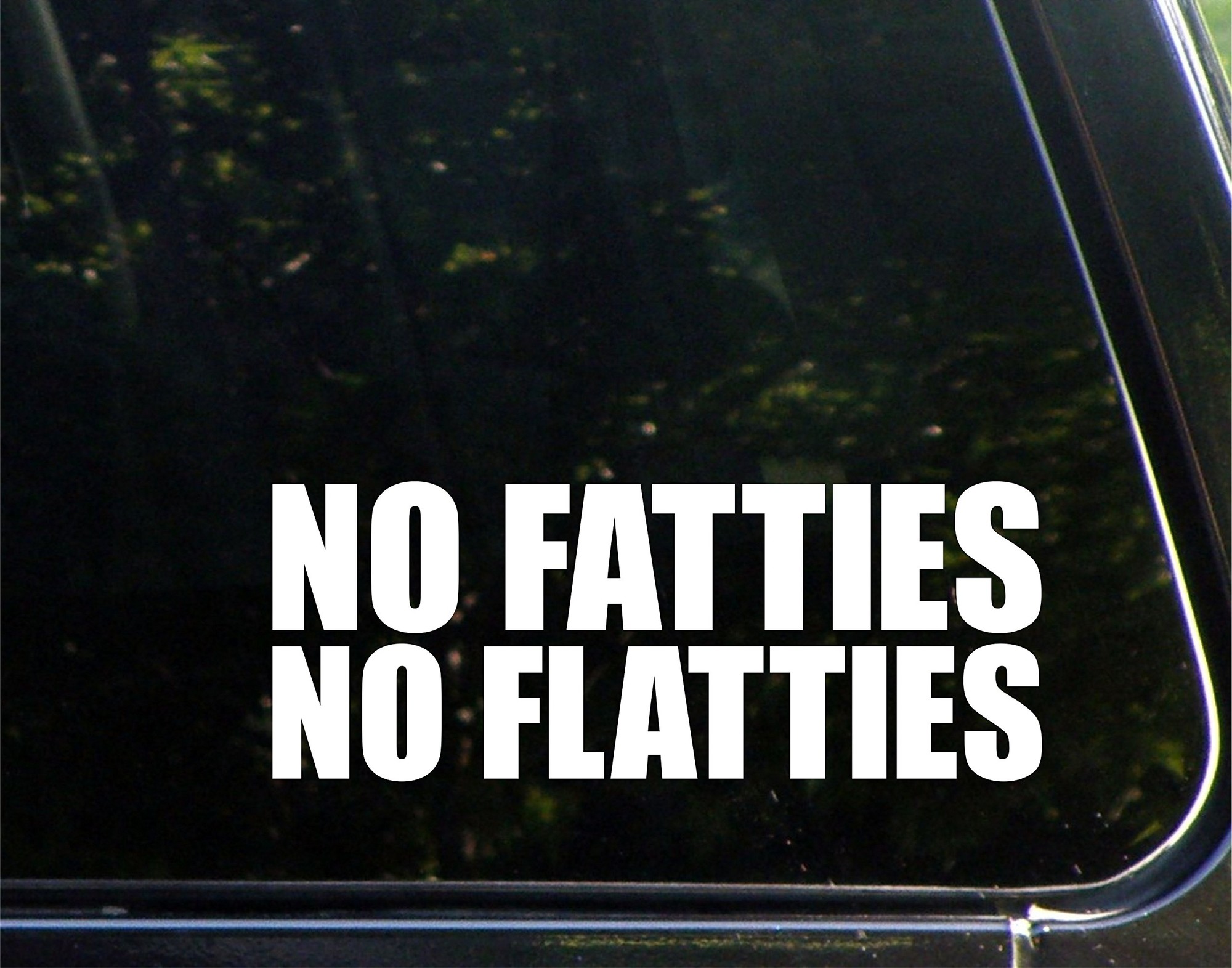 No Fatties No Flatties - 8-3/4