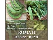 The Dirty Gardener Roma II Bush Beans - 900+ Seeds/1 Pound