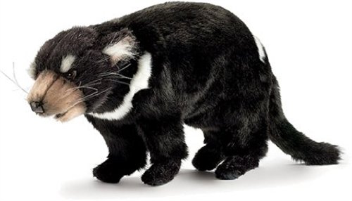 Down Under Youth Tazemanian Devil Stuffed Animal