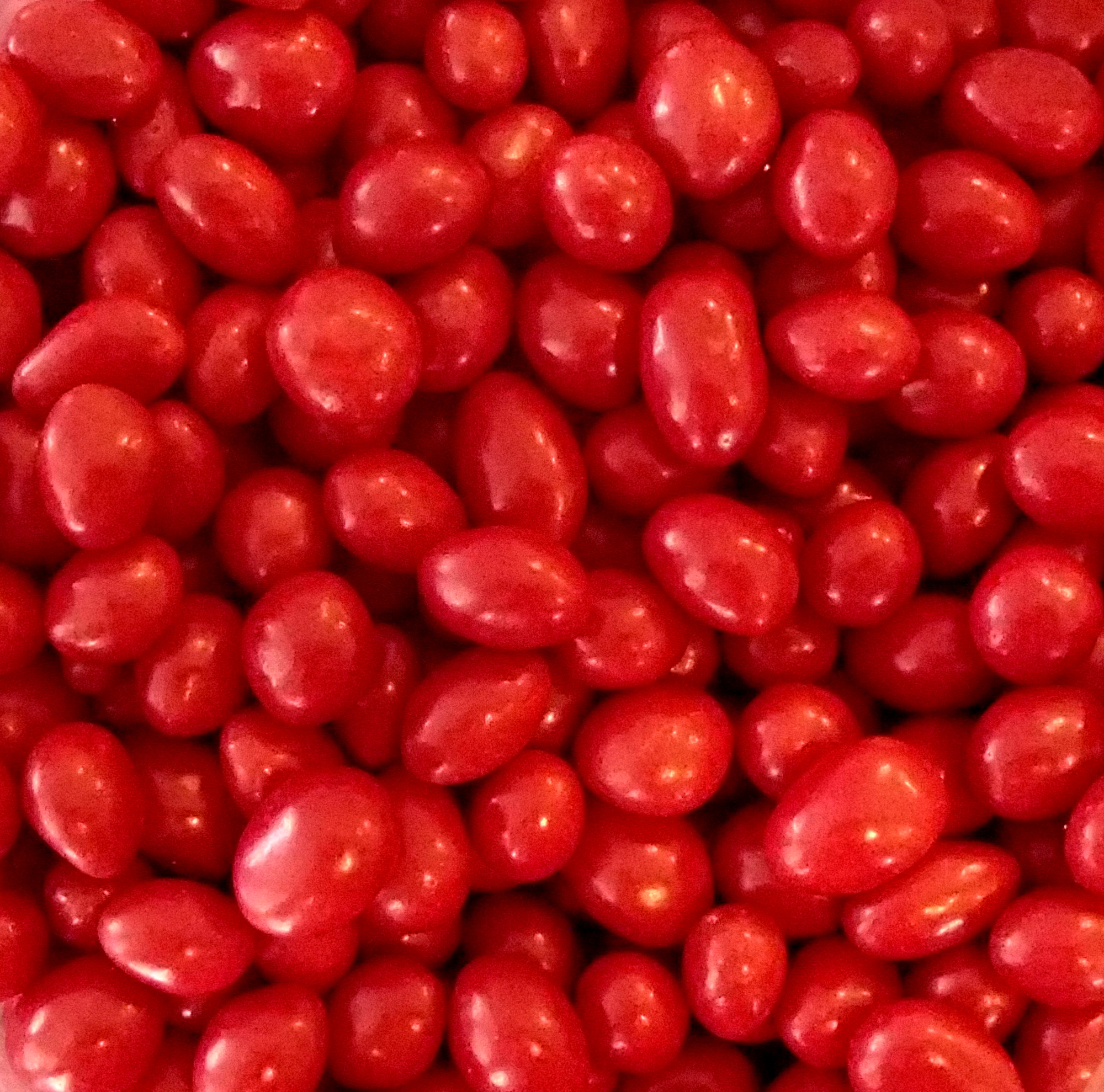 (6 Pack)  Sconza Boston Baked Beans 1 Pound ( 16 Oz )