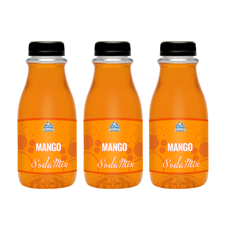 Ralph S Mango Sparkling Water Sodamix Flavor | Three 12oz Bottles