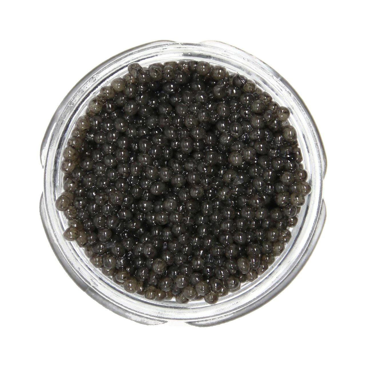 Paddlefish Caviar - 2 Oz Wild American Spoonbill Roe - USA