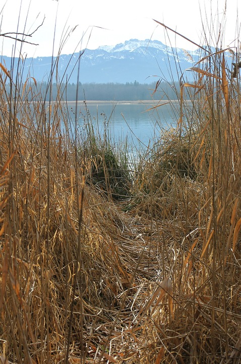 Peel-n-Stick Poster of Reed Lake Away Outlook Path Trail Walk Water Poster 24x16 Adhesive Sticker Poster Print