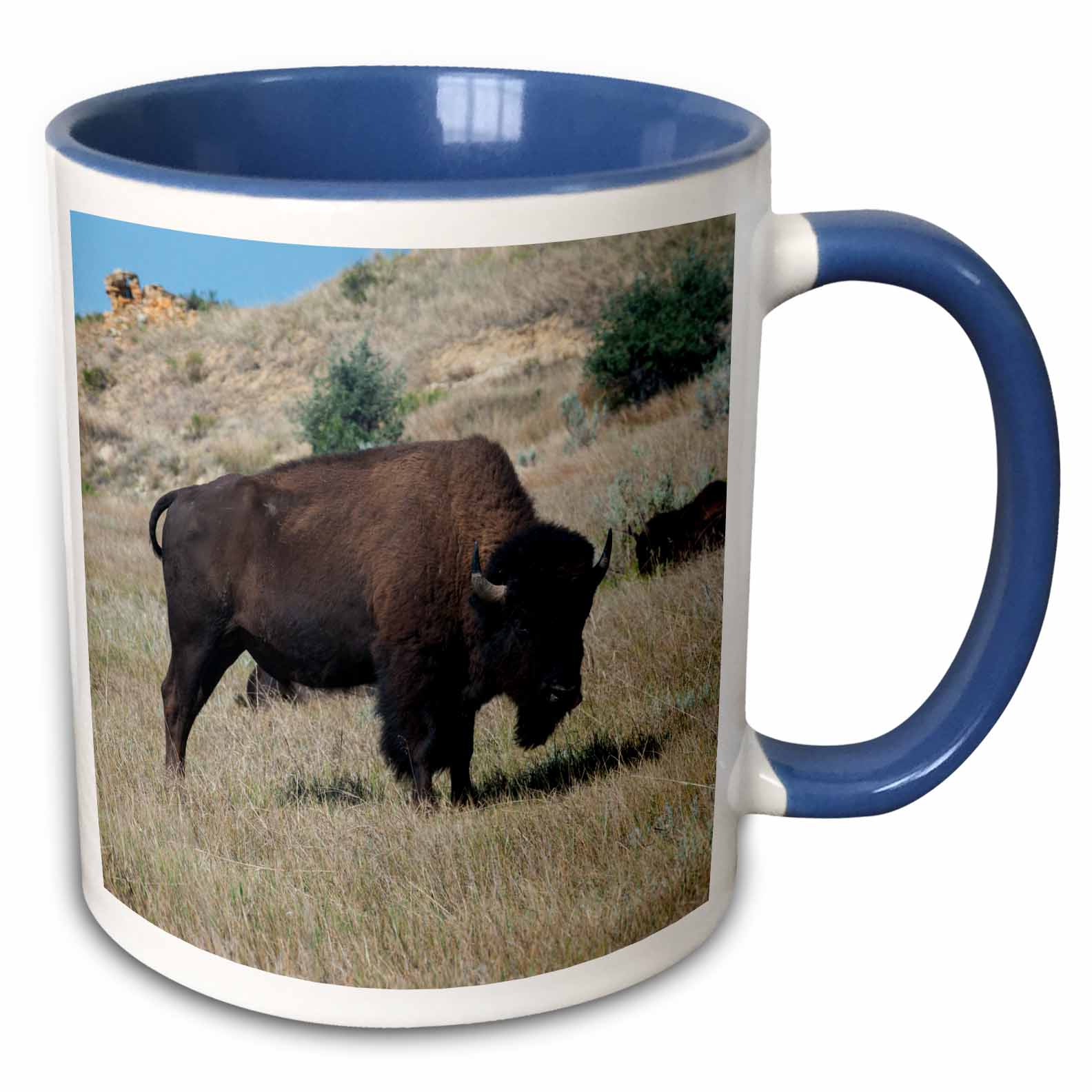 Wild Buffaloes in the Roosevelt National Park  North Dakota  USA 11oz Two-Tone Blue Mug Mug-259837-6