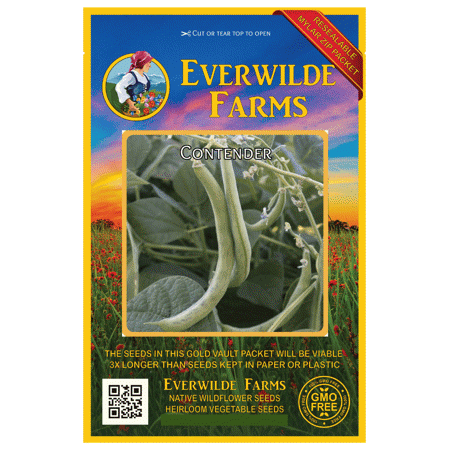 Everwilde Farms - 100 Contender Green Bush Bean Seeds - Gold Vault Jumbo Bulk Seed Packet