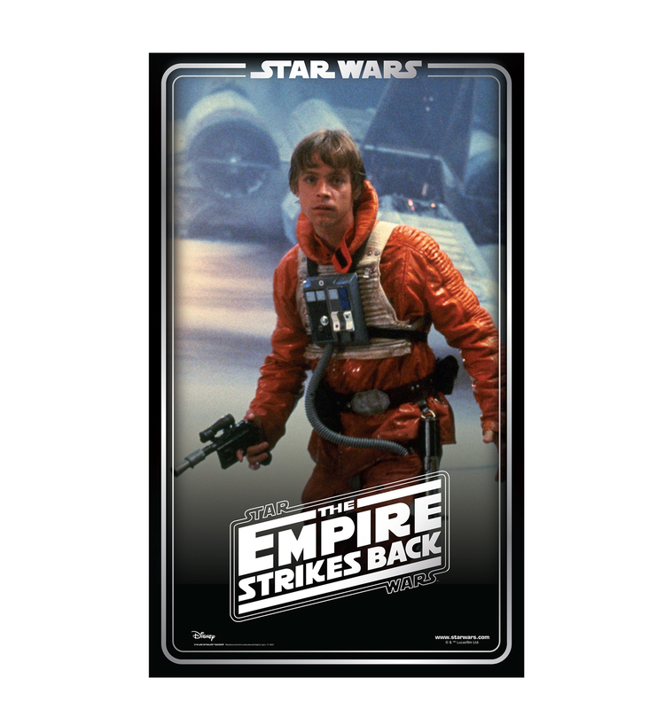 Luke Skywalker Backdrop (Star Wars 40th Empire Strikes Back)