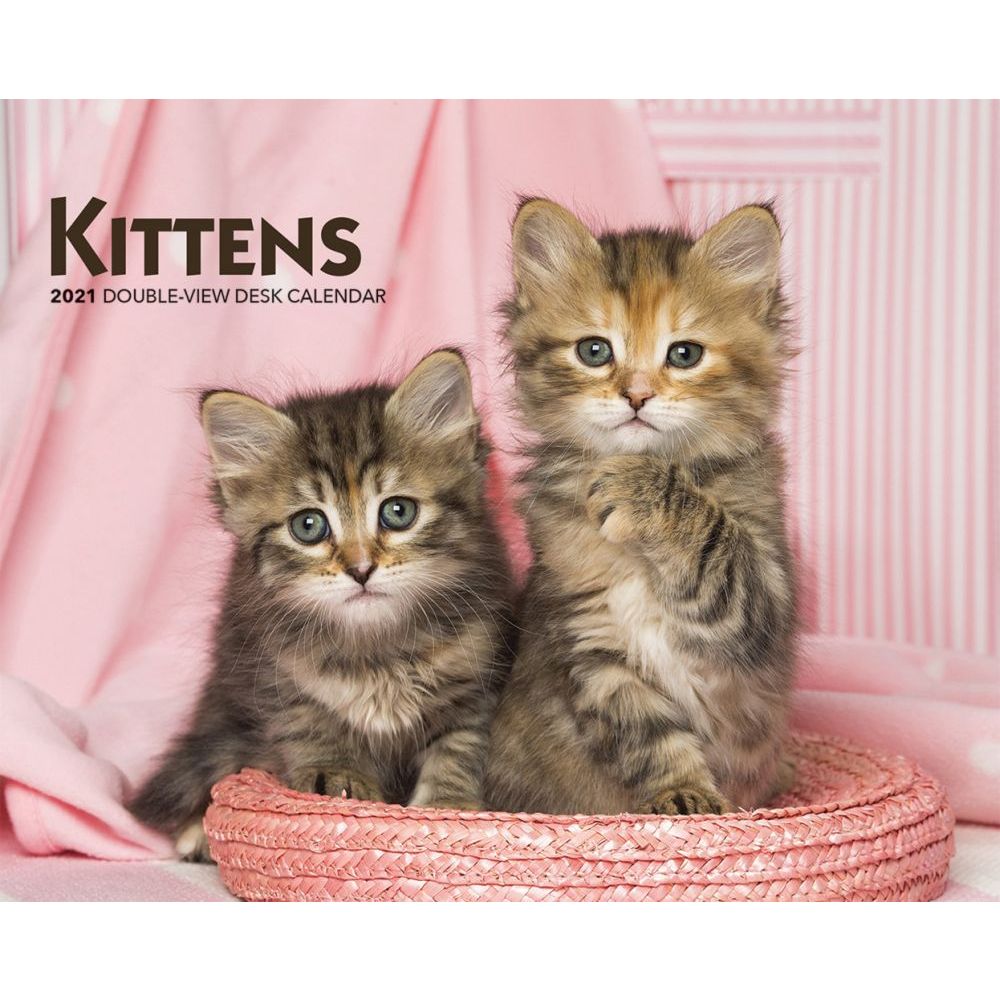 Kittens Easel Calendar
