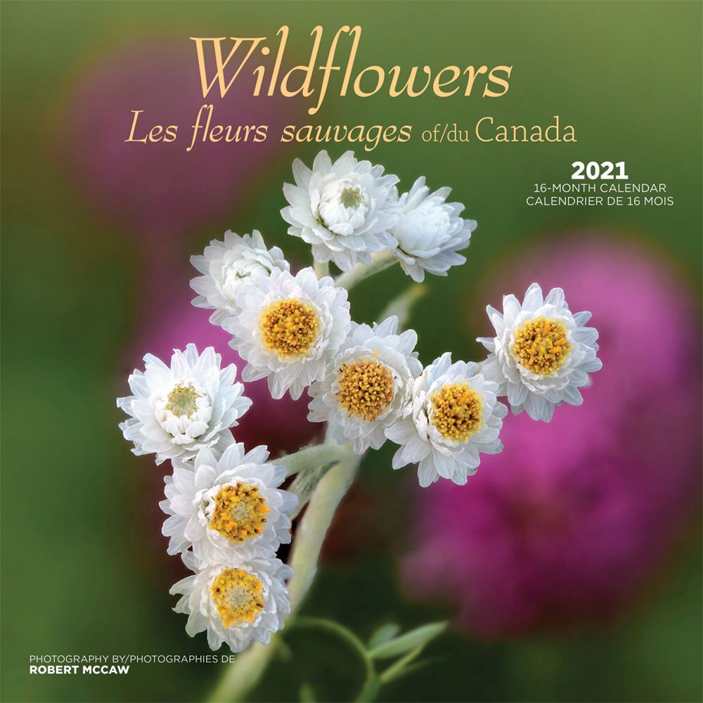 Wildflowers Wall Calendar