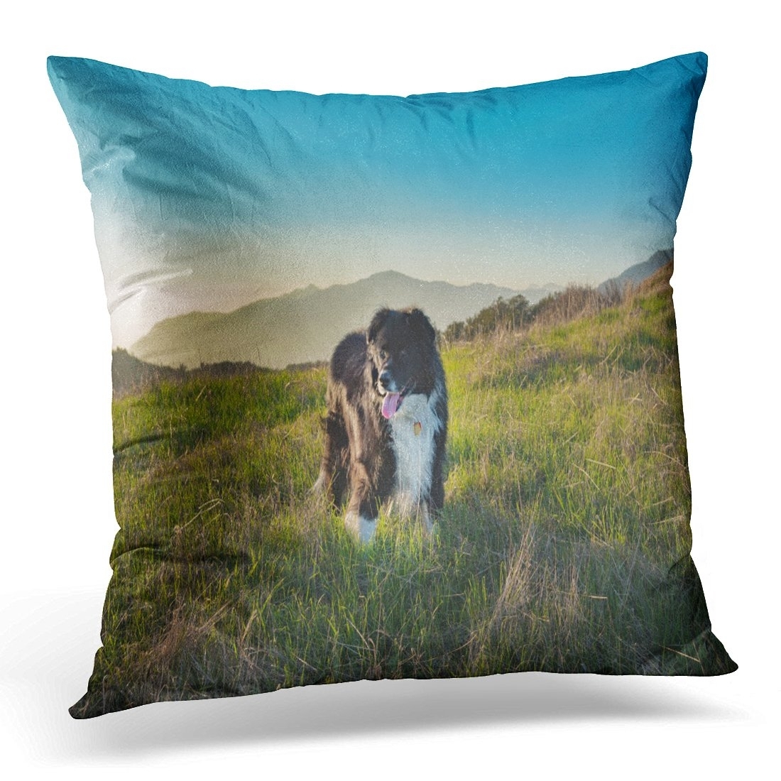 ECCOT Blue Black and White Border Collie Mix Dog Standing in Field with Mountains the During Golden Hour Green Pillowcase Pillow Cover Cushion Case 16