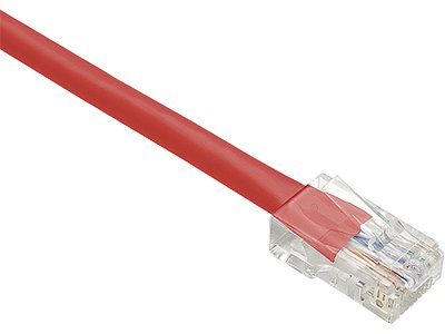 Oncore - Patch Cable - RJ-45 (M) to RJ-45 (M) - 100 Ft - UTP - CAT 6 -