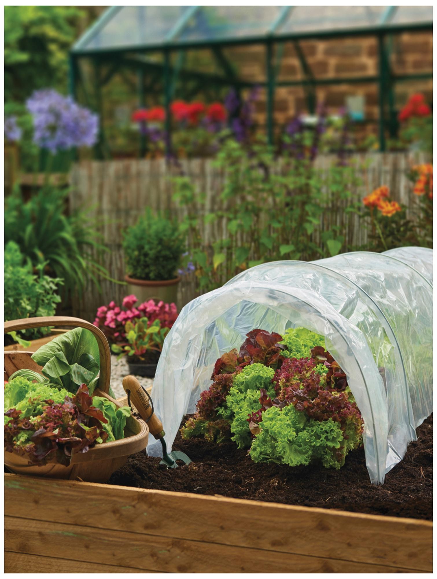 Grow It Garden Plants & Vegetables Polythene Grow Tunnel