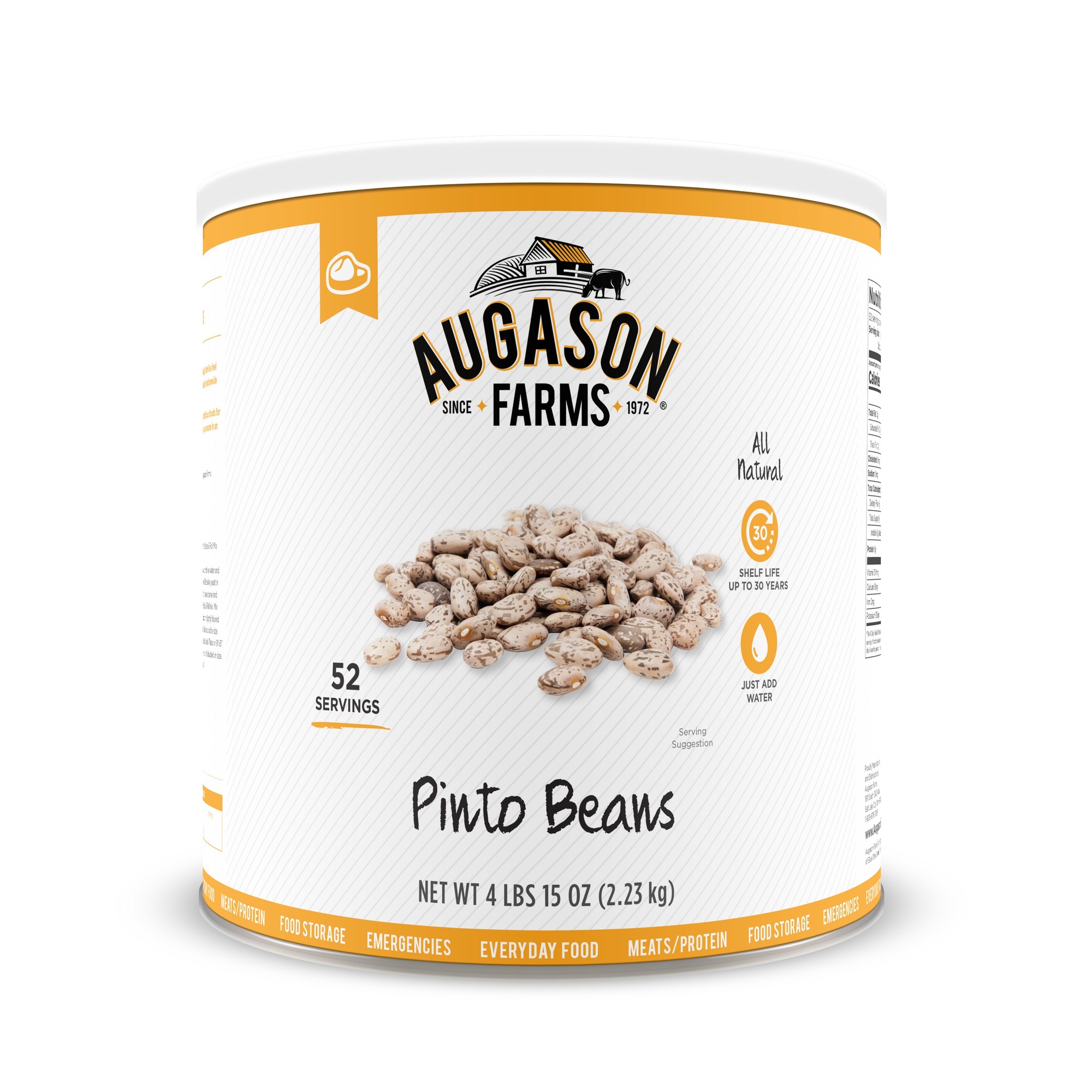 Augason Farms Pinto Beans 4 Lbs 15 Oz No. 10 Can