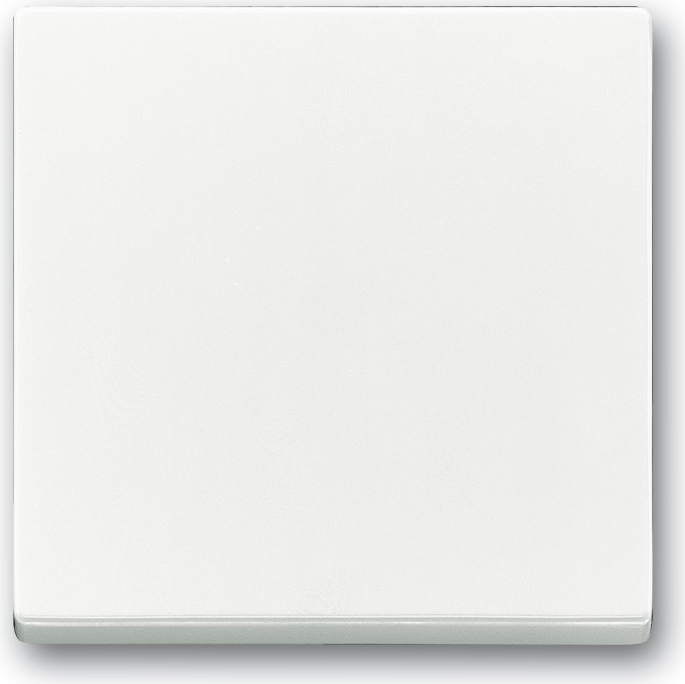 ABB White 1 Gang Light Switch Cover