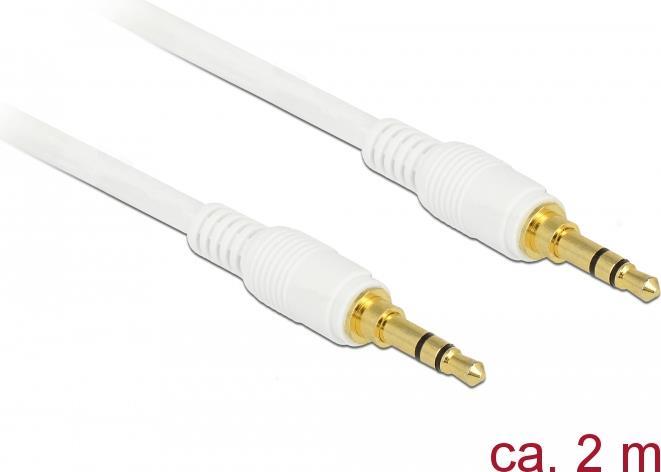 DeLOCK - Audiokabel - Stereo Mini-Klinkenstecker (M) Bis Stereo Mini-Klinkenstecker (M) - 2,0m - Weiß (85550)